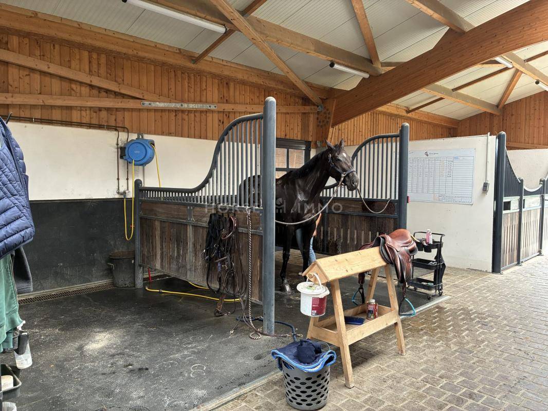 Propriet&agrave; equestre In vendita Calvados