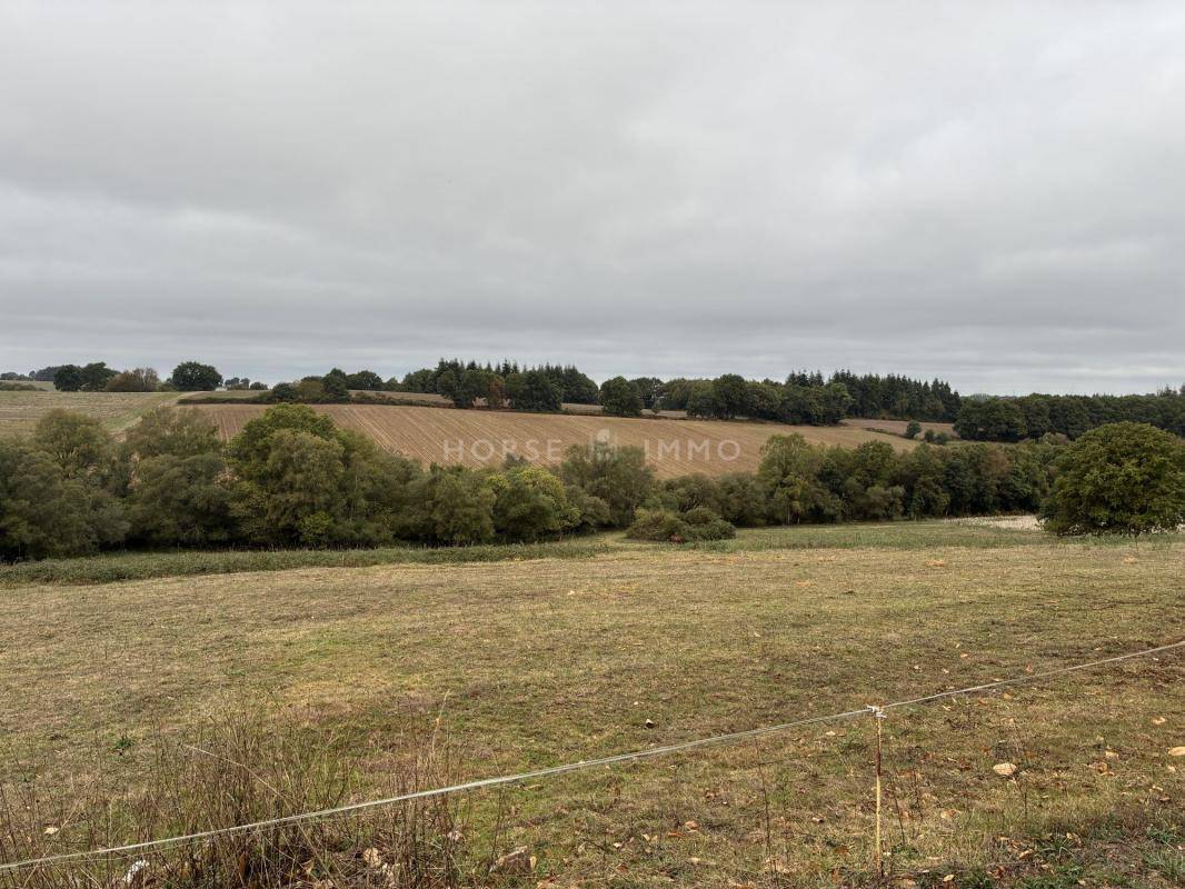 Propriet&agrave; equestre In vendita Morbihan