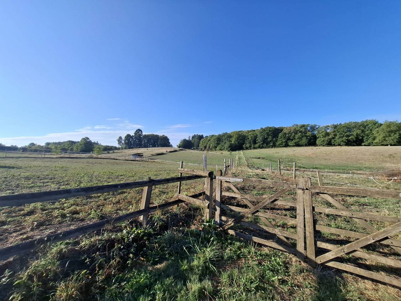 Propriet&agrave; equestre In vendita Corr&egrave;ze