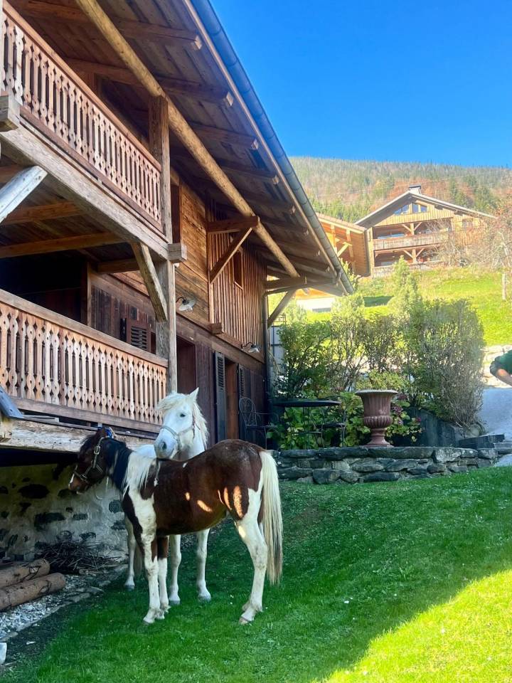Propriet&agrave; equestre In vendita Haute-Savoie
