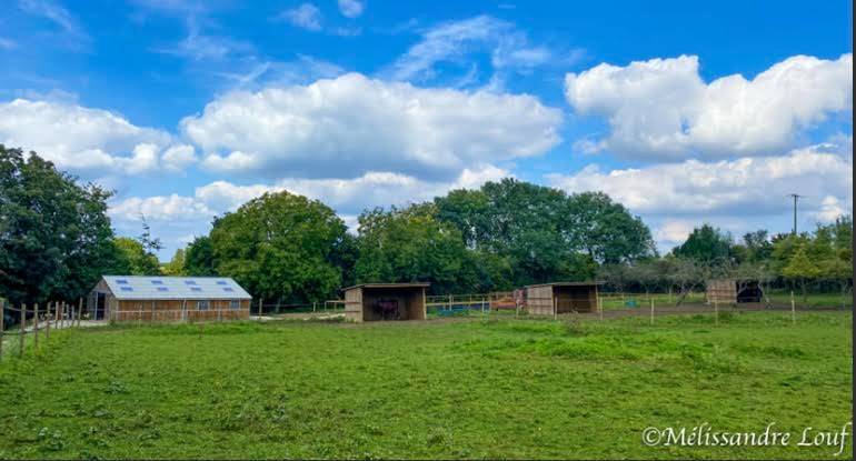 Propriet&agrave; equestre In vendita Seine-et-Marne