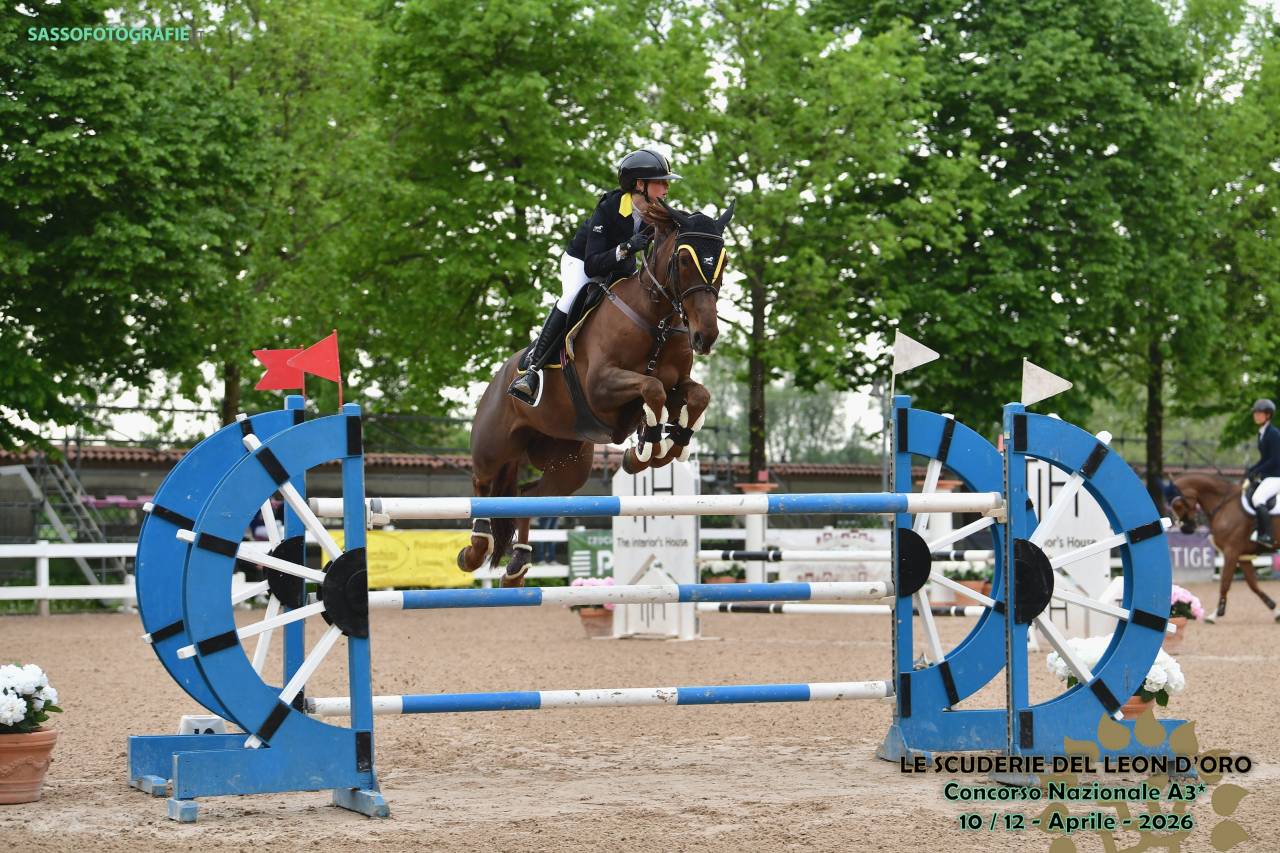 Cavalla Sella francese 2014