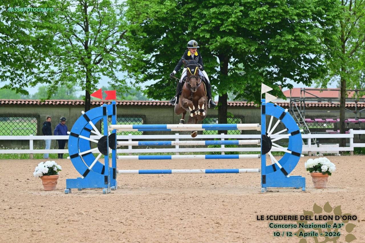 Cavalla Sella francese 2014