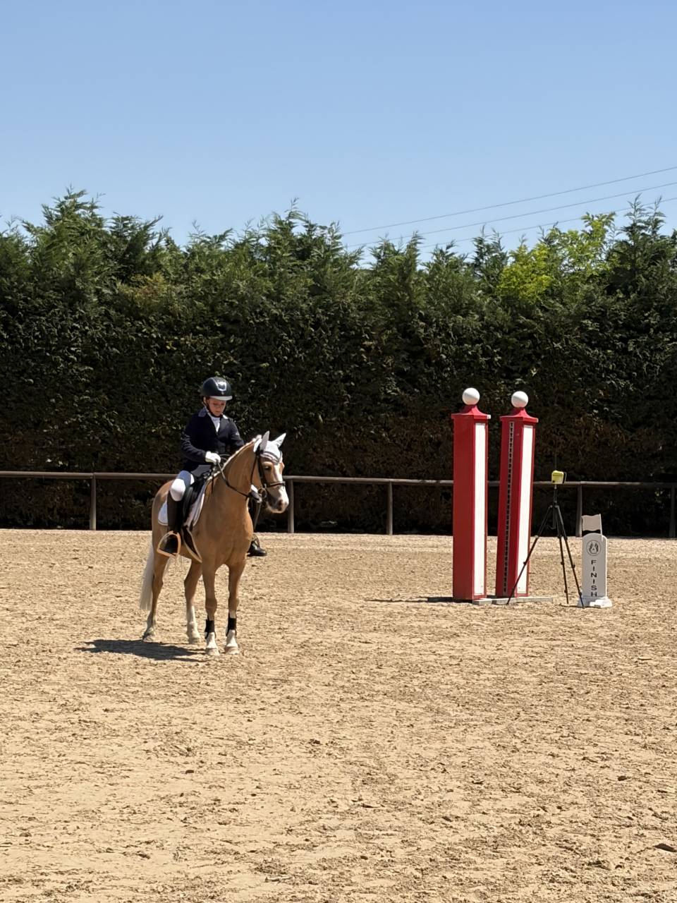 Pony Welsh in Vendita