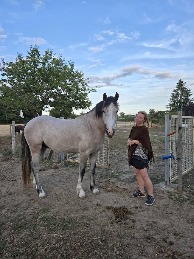 Intero PFS Pony Francese da Sella In vendita 2022 Grigio ,  IDIVADAHO DE BLONDE PFSS