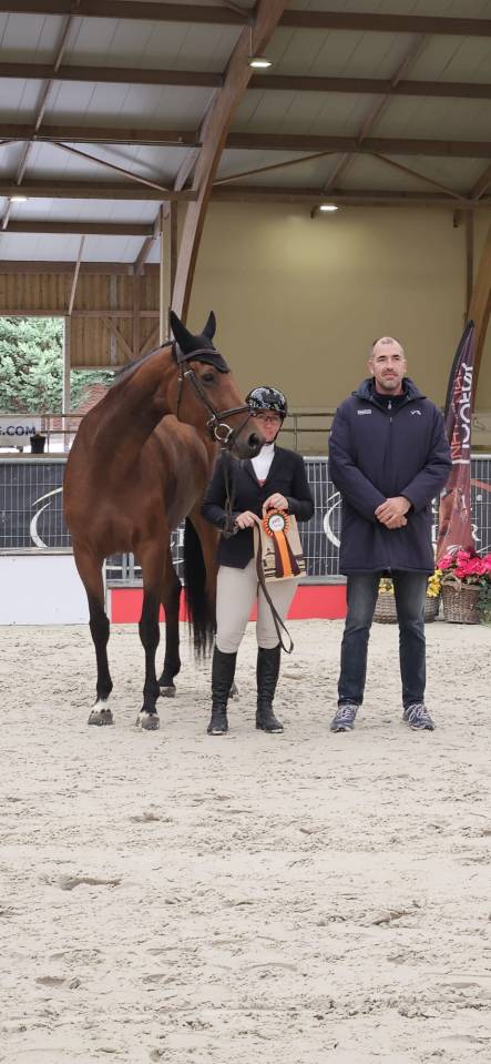 Cavalla Sella Francese In vendita 2018 Baio ,  monte bellini