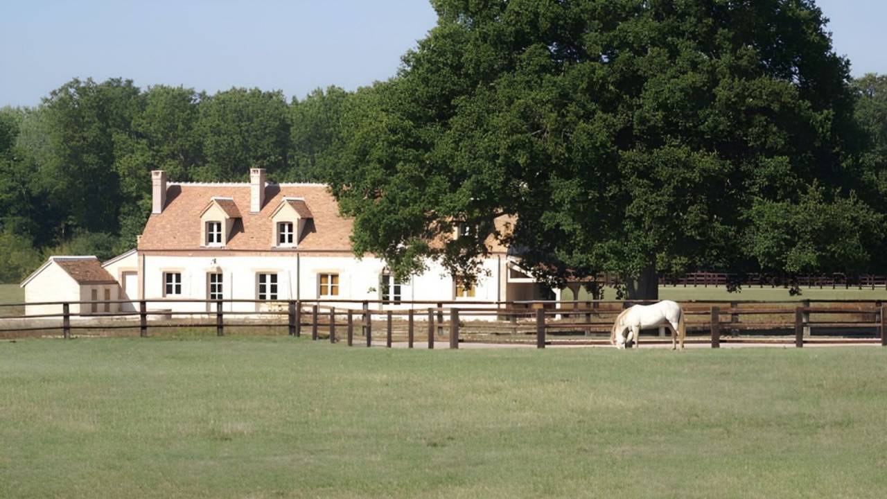 Propriet&agrave; equestre In vendita Loir-et-Cher