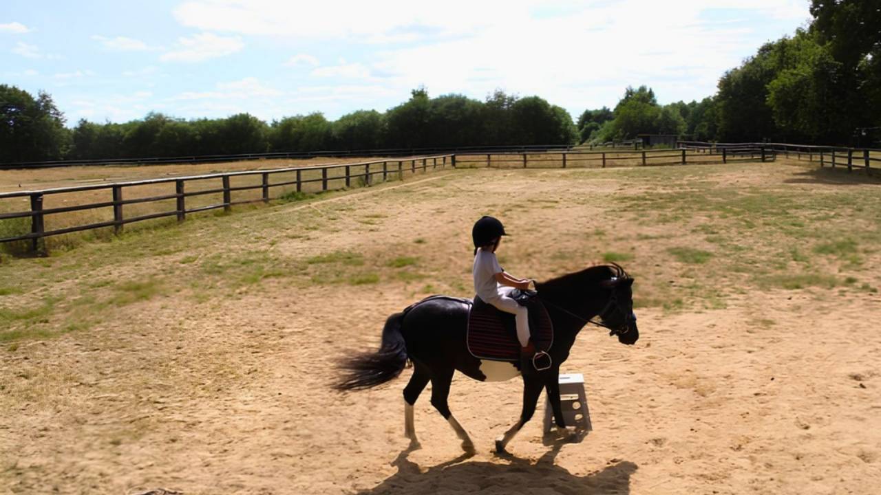 Propriet&agrave; equestre In vendita Loir-et-Cher