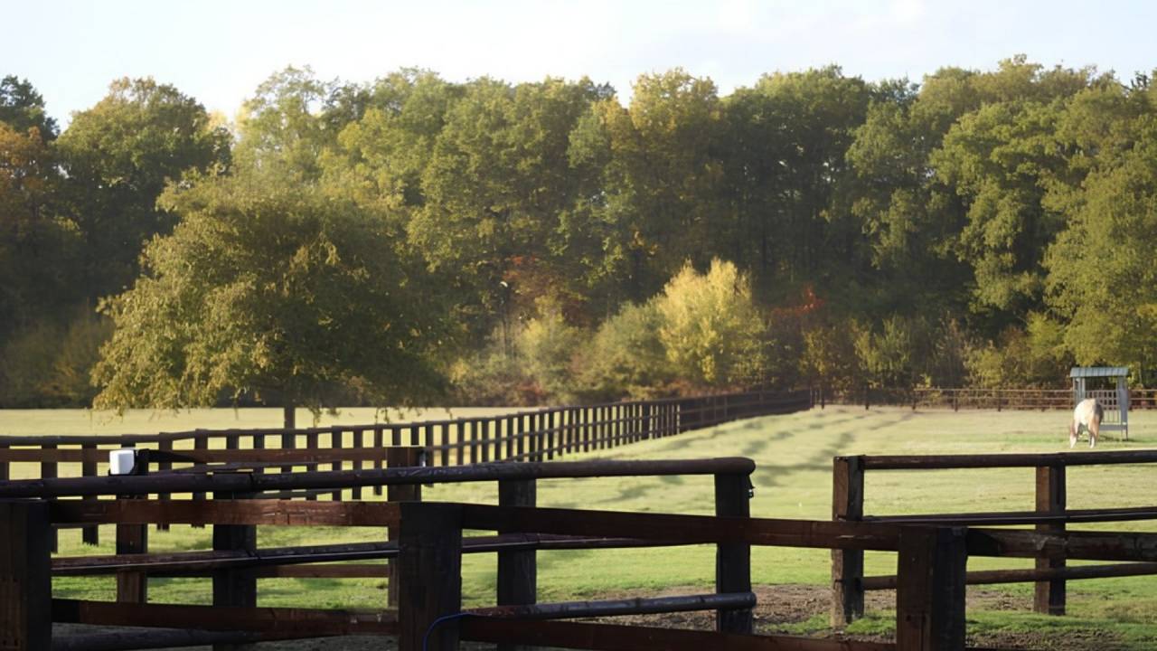 Propriet&agrave; equestre In vendita Loir-et-Cher