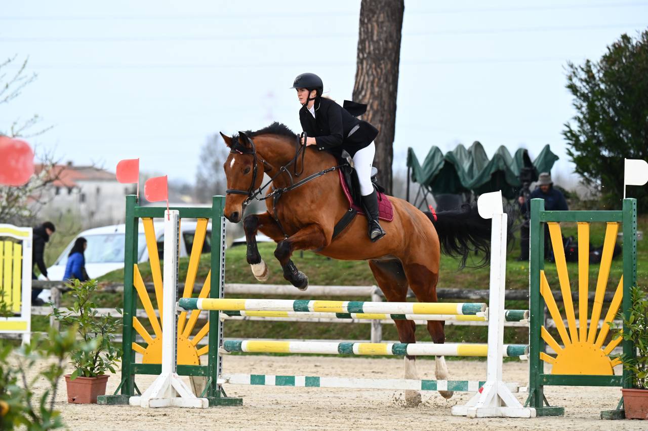 Castrone SI del 2010 ricco di esperienza