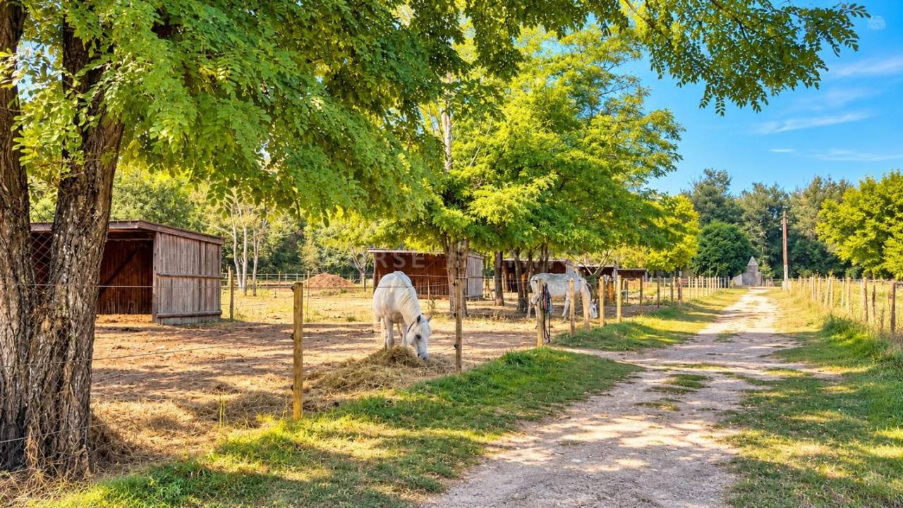 Propriet&agrave; equestre In vendita Vaucluse