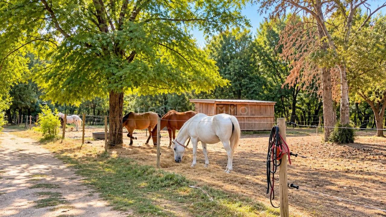Propriet&agrave; equestre In vendita Vaucluse