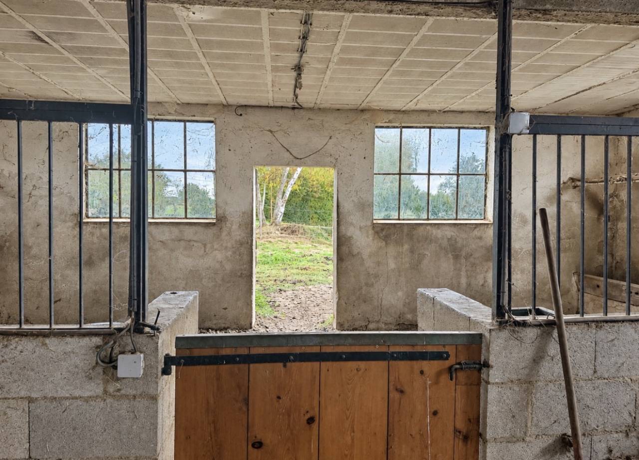 Propriet&agrave; equestre In vendita Ain