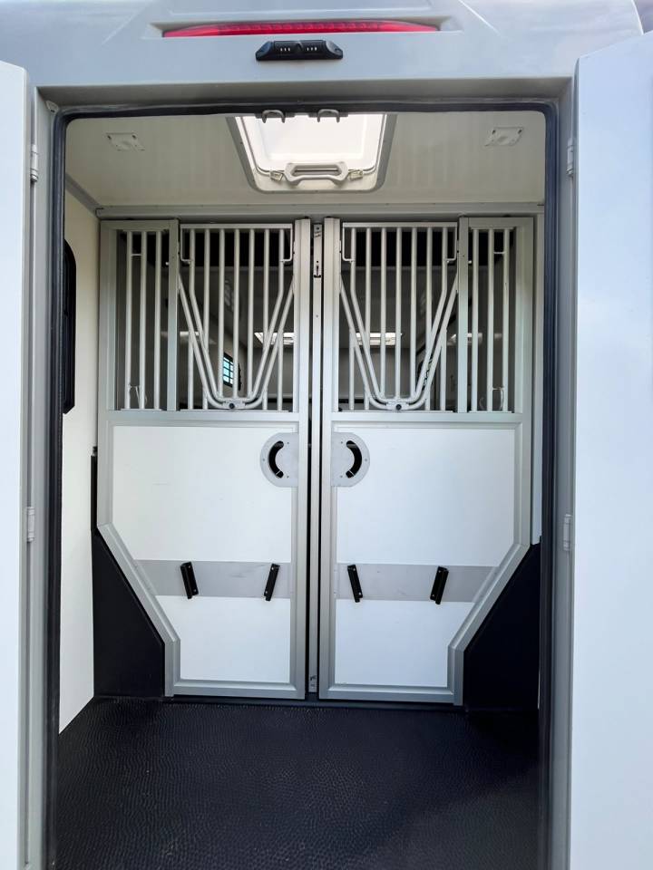 Van per Cavalli Theault   Renault Master  - THEAULT Proton 5L 2023 Occasione