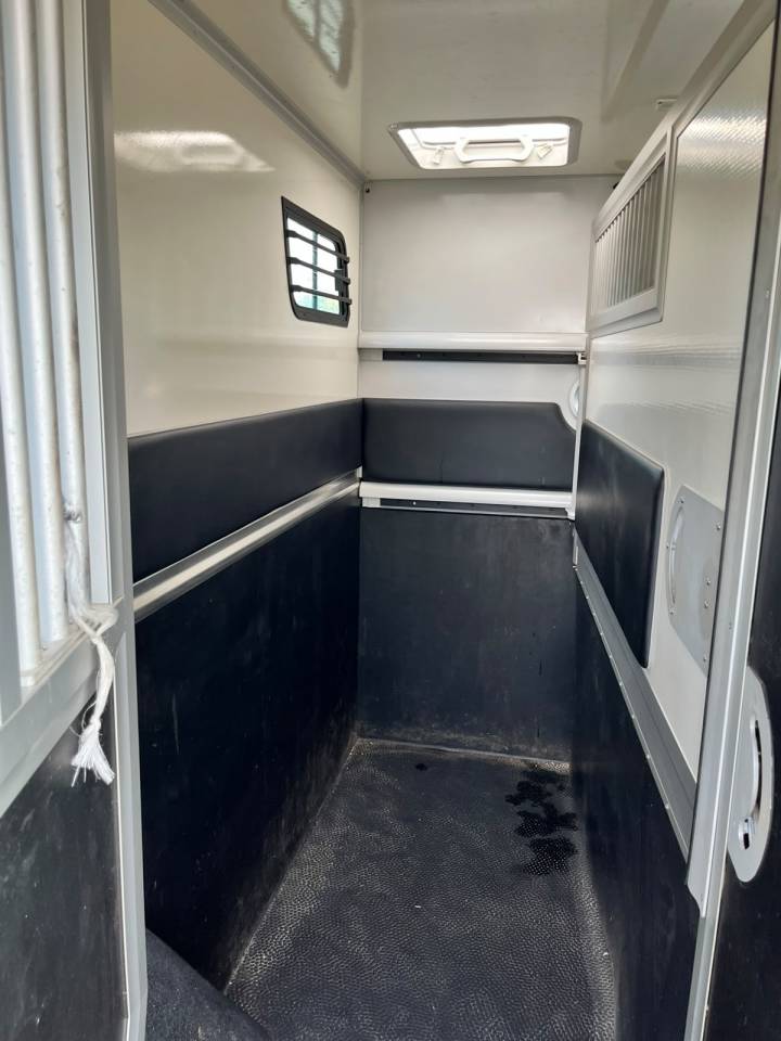 Van per Cavalli Theault   Renault Master  - THEAULT Proton 5L 2023 Occasione
