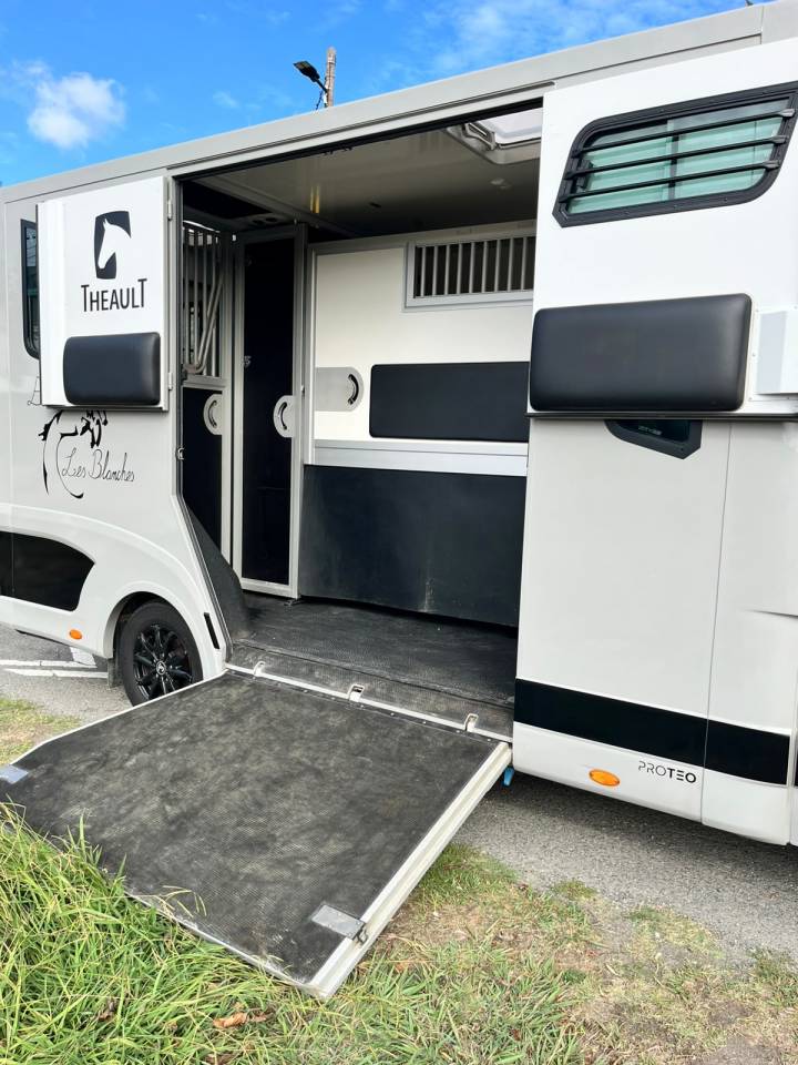 Van per Cavalli Theault   Renault Master  - THEAULT Proton 5L 2023 Occasione