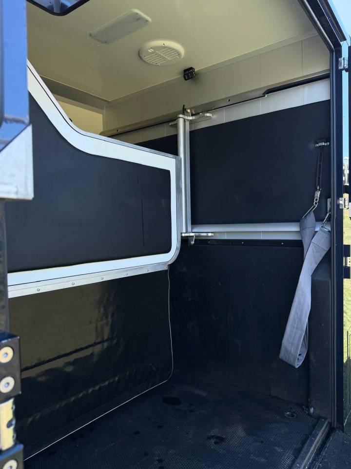 Van per Cavalli STX Renault Master 2024 Occasione