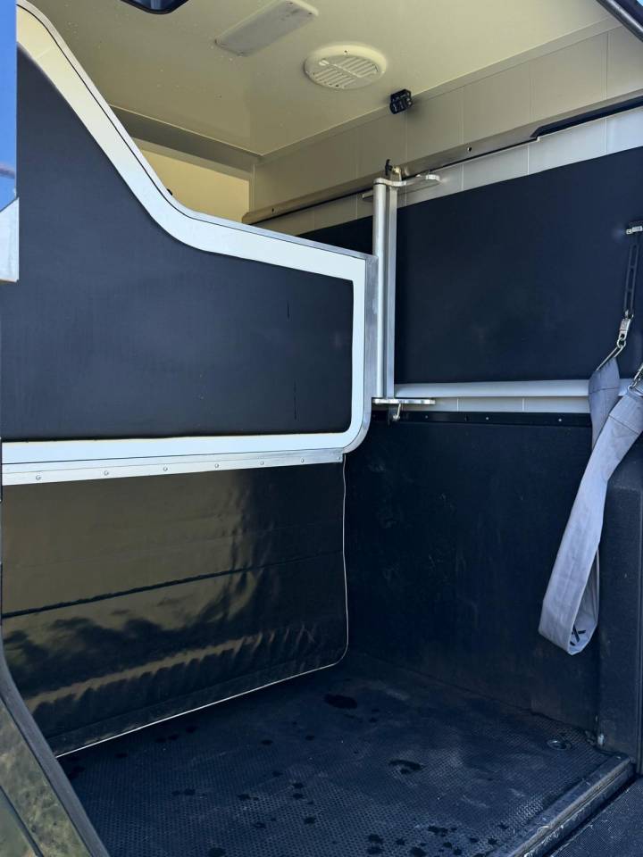 Van per Cavalli STX Renault Master 2024 Occasione