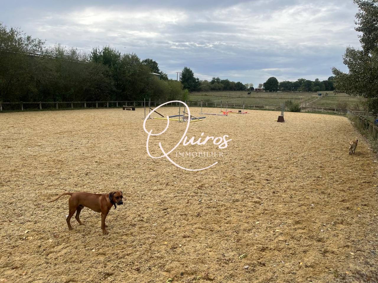 Propriet&agrave; equestre In vendita Haute-Garonne