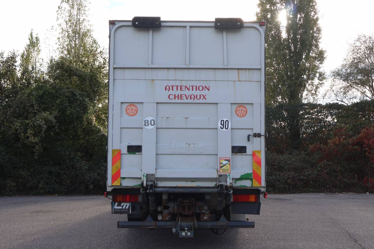 Camion per Cavalli Scania P.310 2005 Occasione