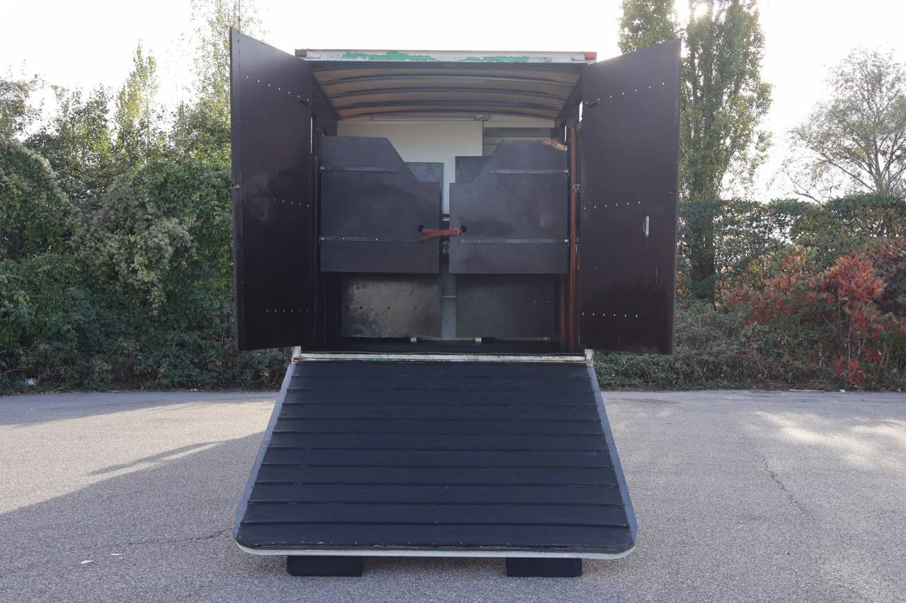 Camion per Cavalli Scania P.310 2005 Occasione