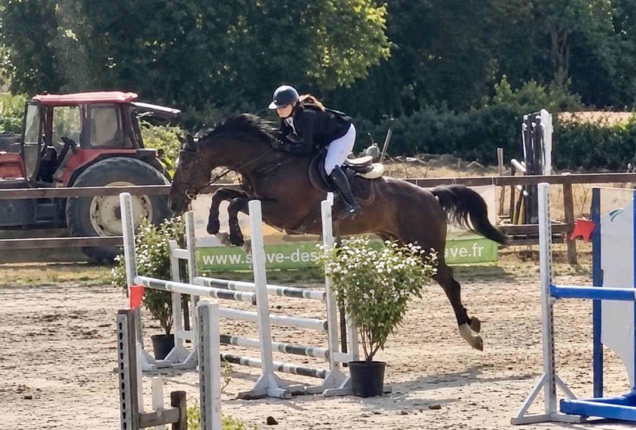 Cavalla sBs Cavallo da Sport Belgio In vendita 2018 Nero ,  GENESIS DU ROUTY