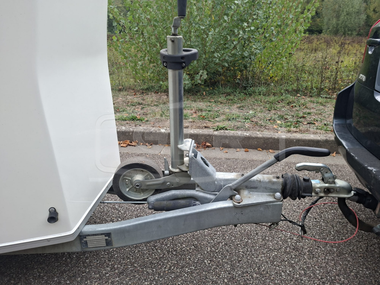 Trailer Cheval Libert&eacute; Gold One White Line 1,5 Cavalli 2020 Occasione