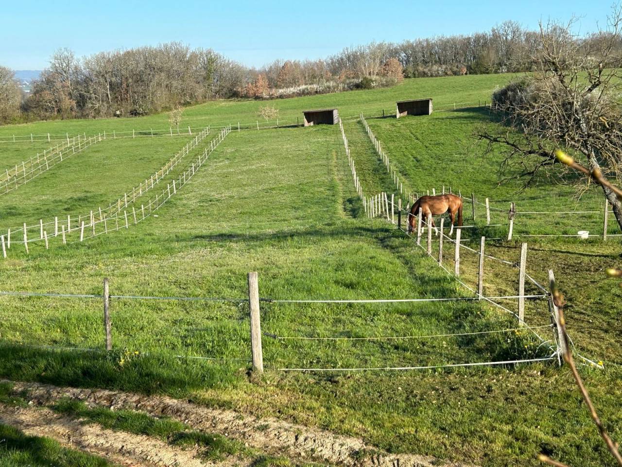 Scuderia per proprietari In vendita Lot-et-Garonne