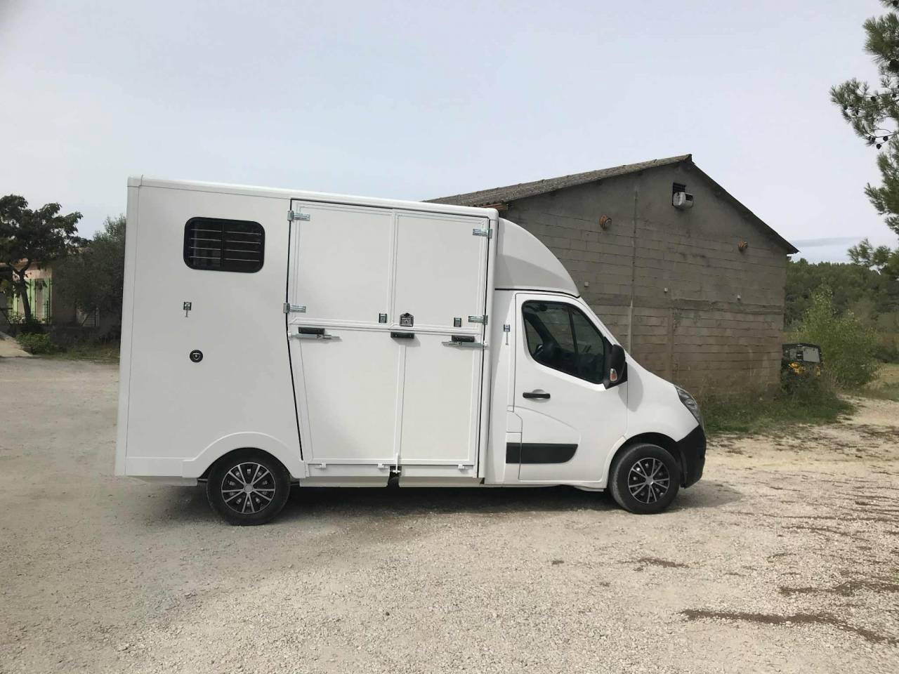 Van per Cavalli Renault  2011 Occasione
