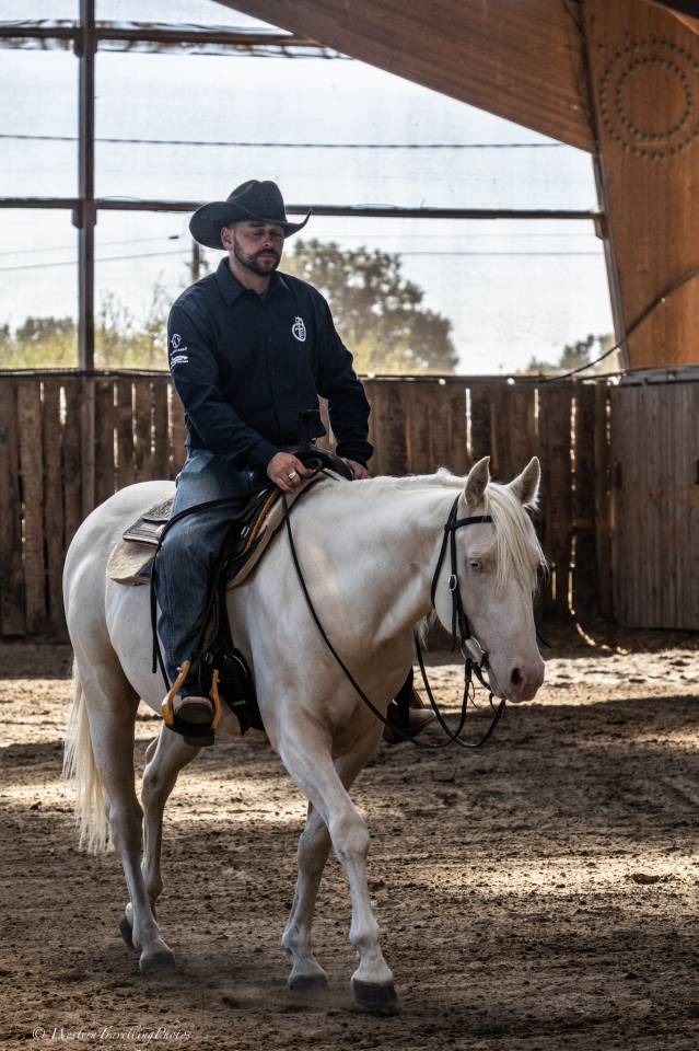 Castrone Quarter Horse In vendita 2021 Cremello ,  AR ROCK STAR