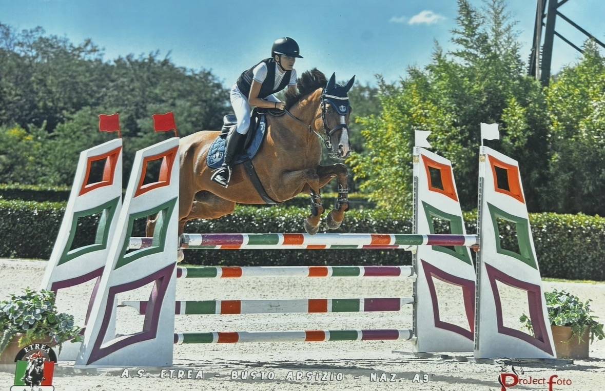 castrone da salto 2012