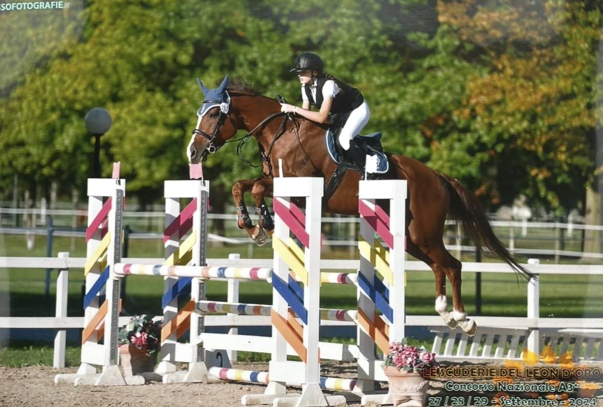 castrone da salto 2012