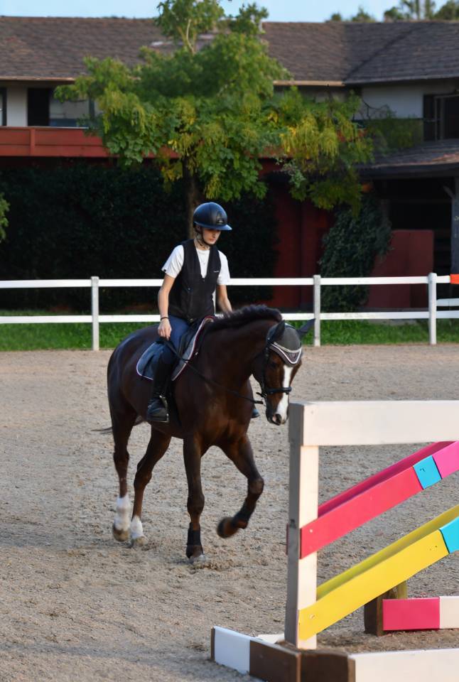 castrone da salto 2012