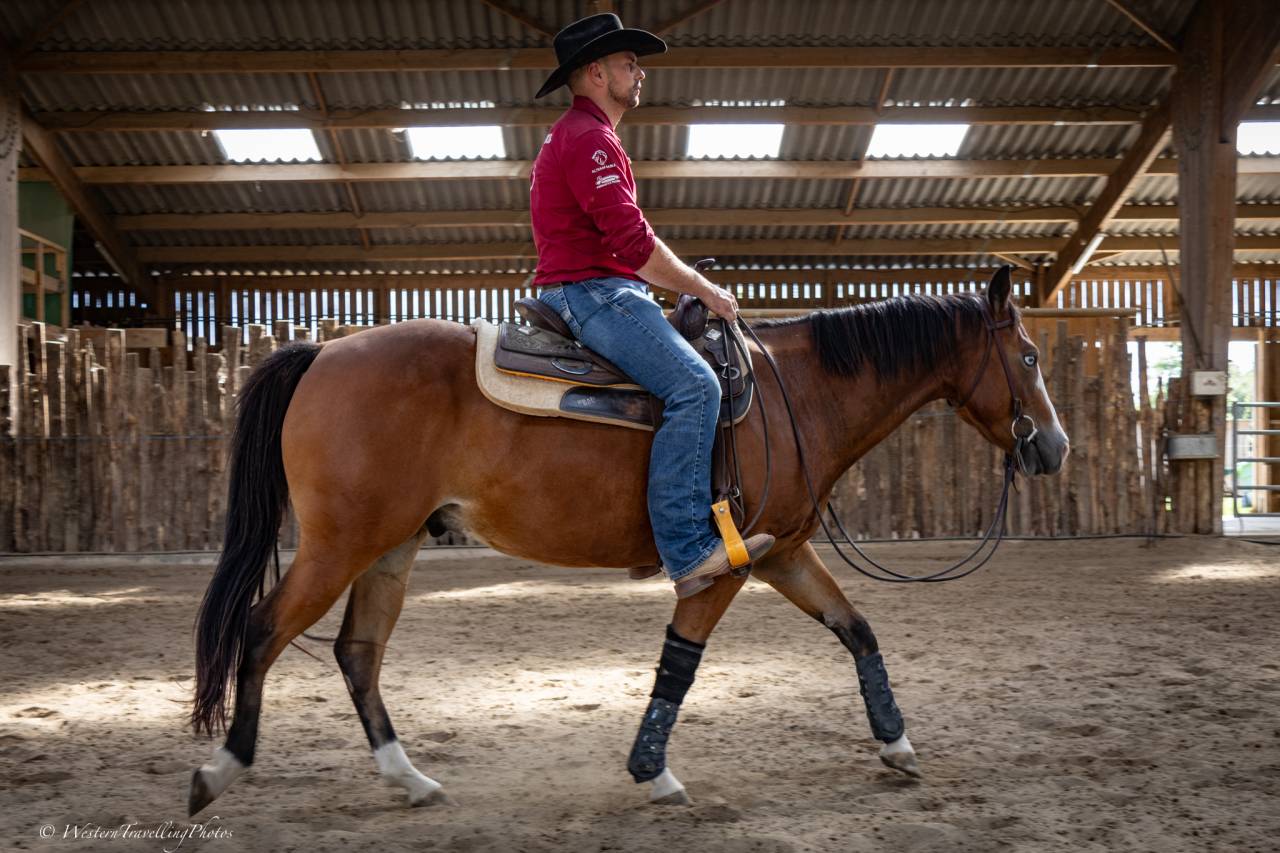Castrone Quarter Horse In vendita 2024 Baio ,  MAGIC BLACK ANTINORI