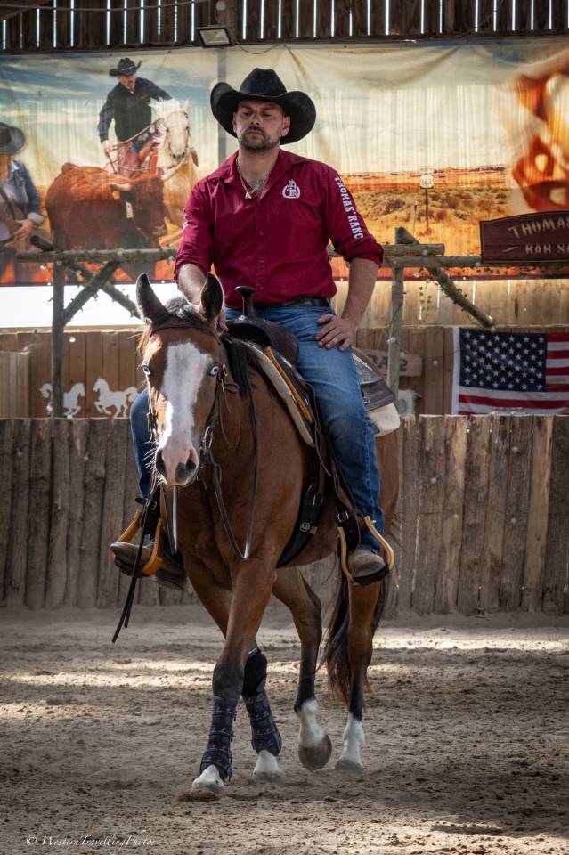 Castrone Quarter Horse In vendita 2024 Baio ,  MAGIC BLACK ANTINORI