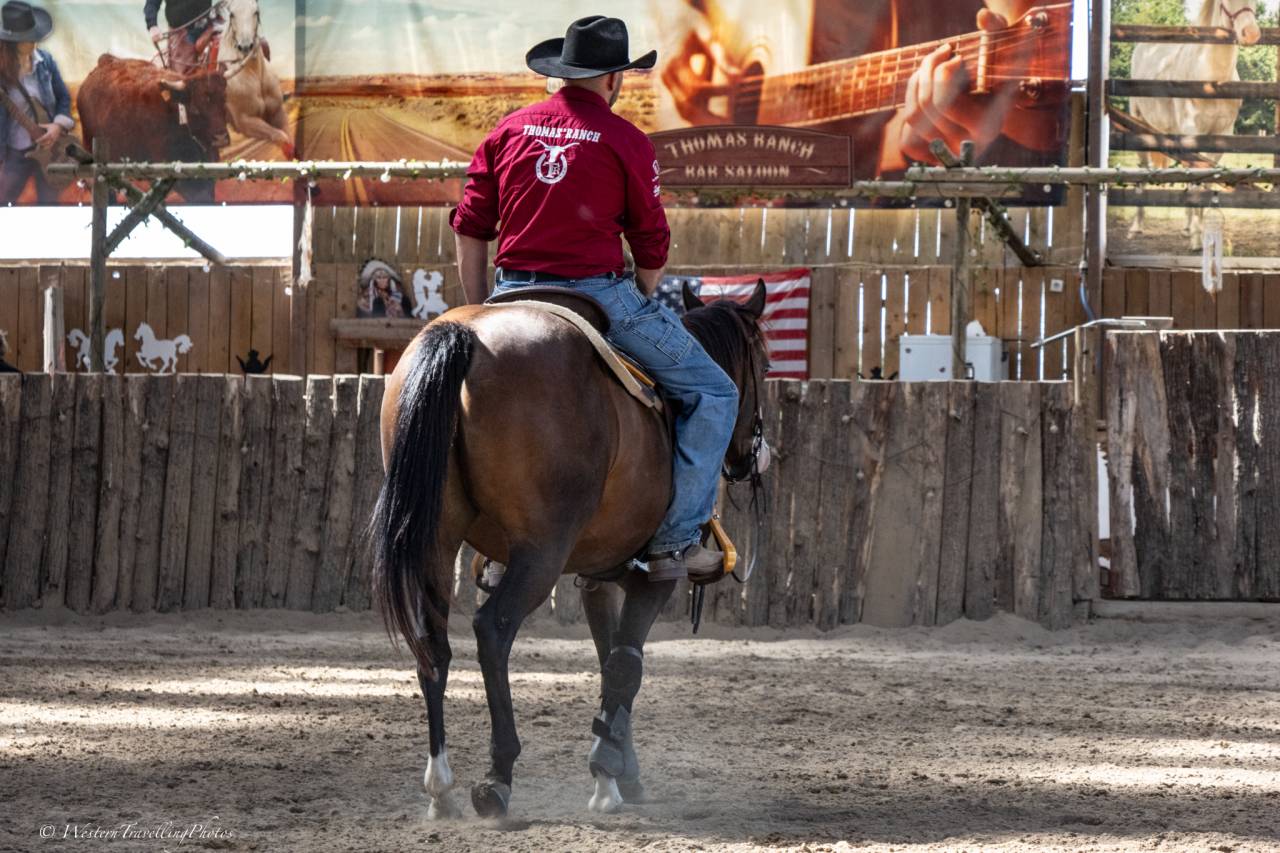 Cavalla Quarter Horse In vendita 2023 Baio ,  MAGIC BLACK ANTINORI