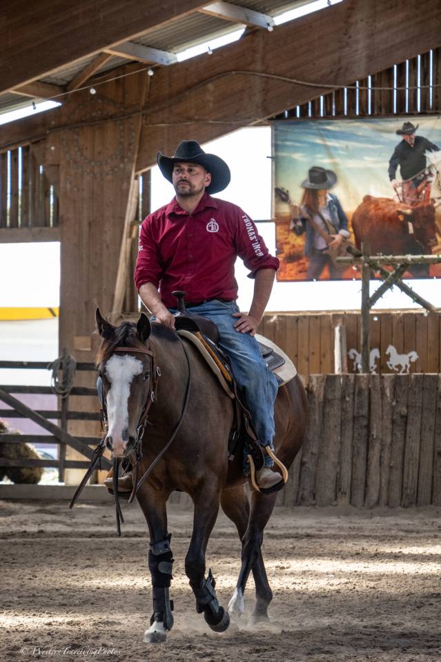 Cavalla Quarter Horse In vendita 2023 Baio ,  MAGIC BLACK ANTINORI