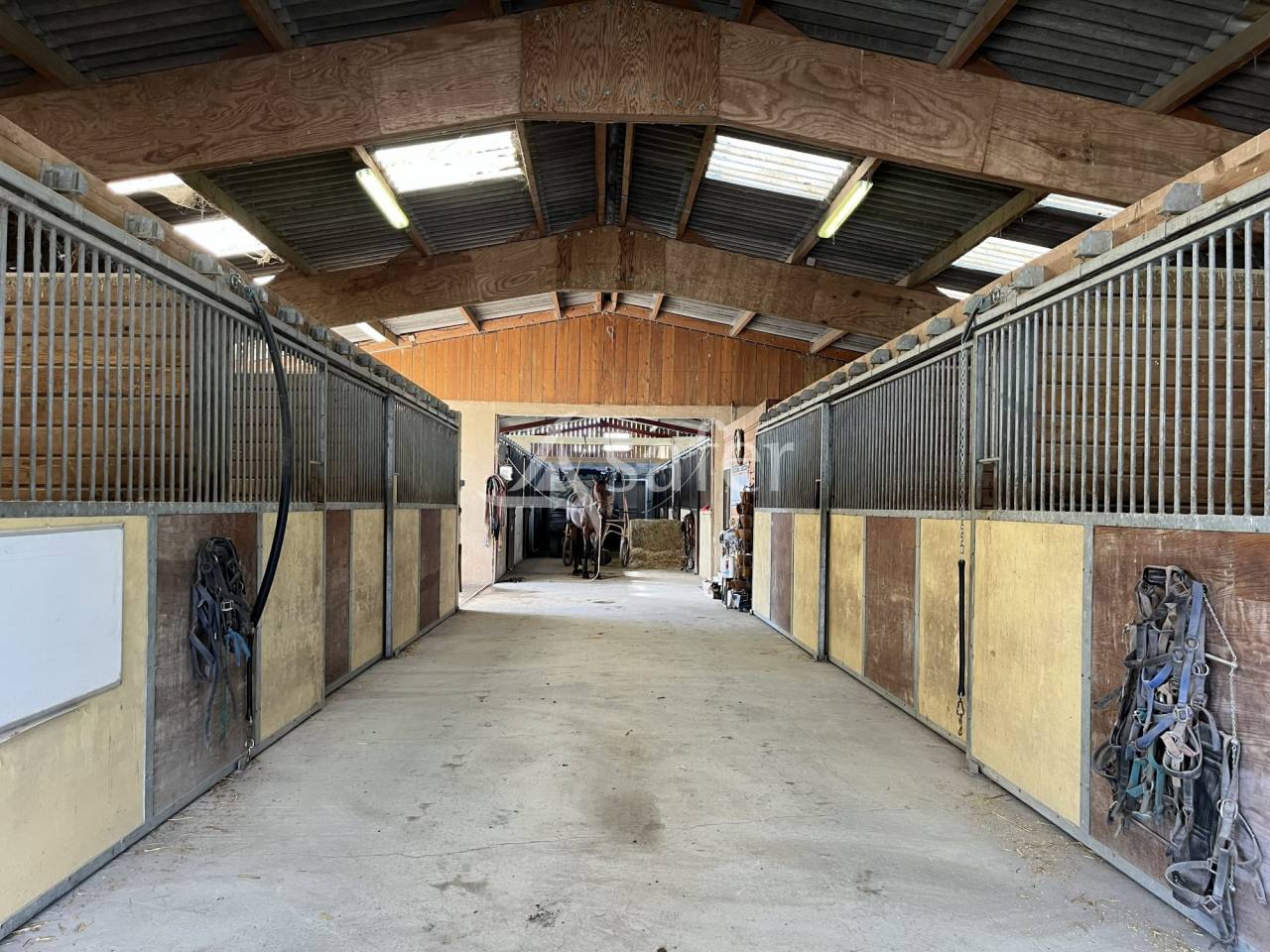 Propriet&agrave; equestre In vendita Calvados