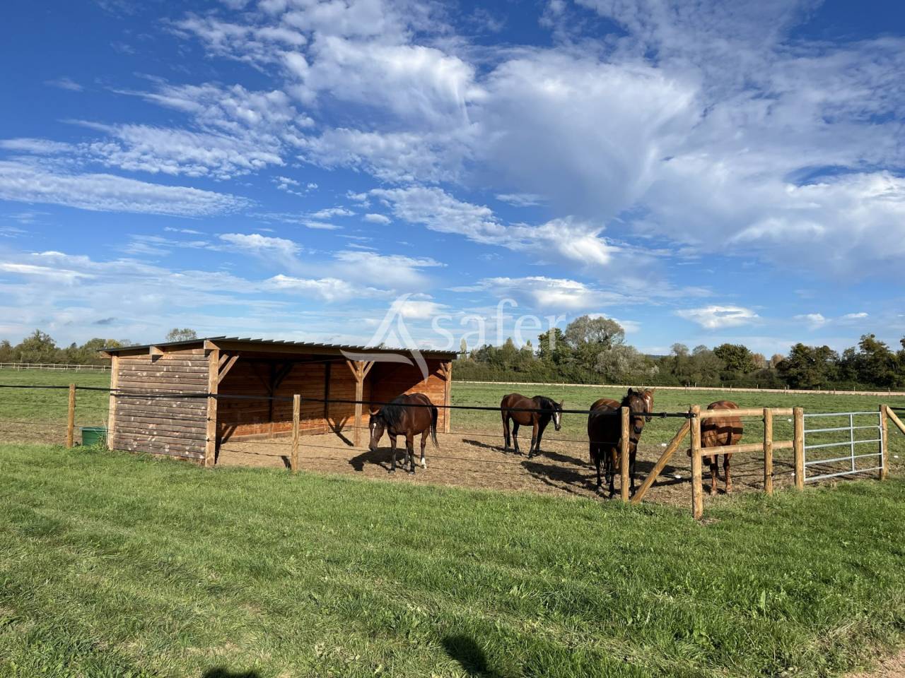 Propriet&agrave; equestre In vendita Calvados