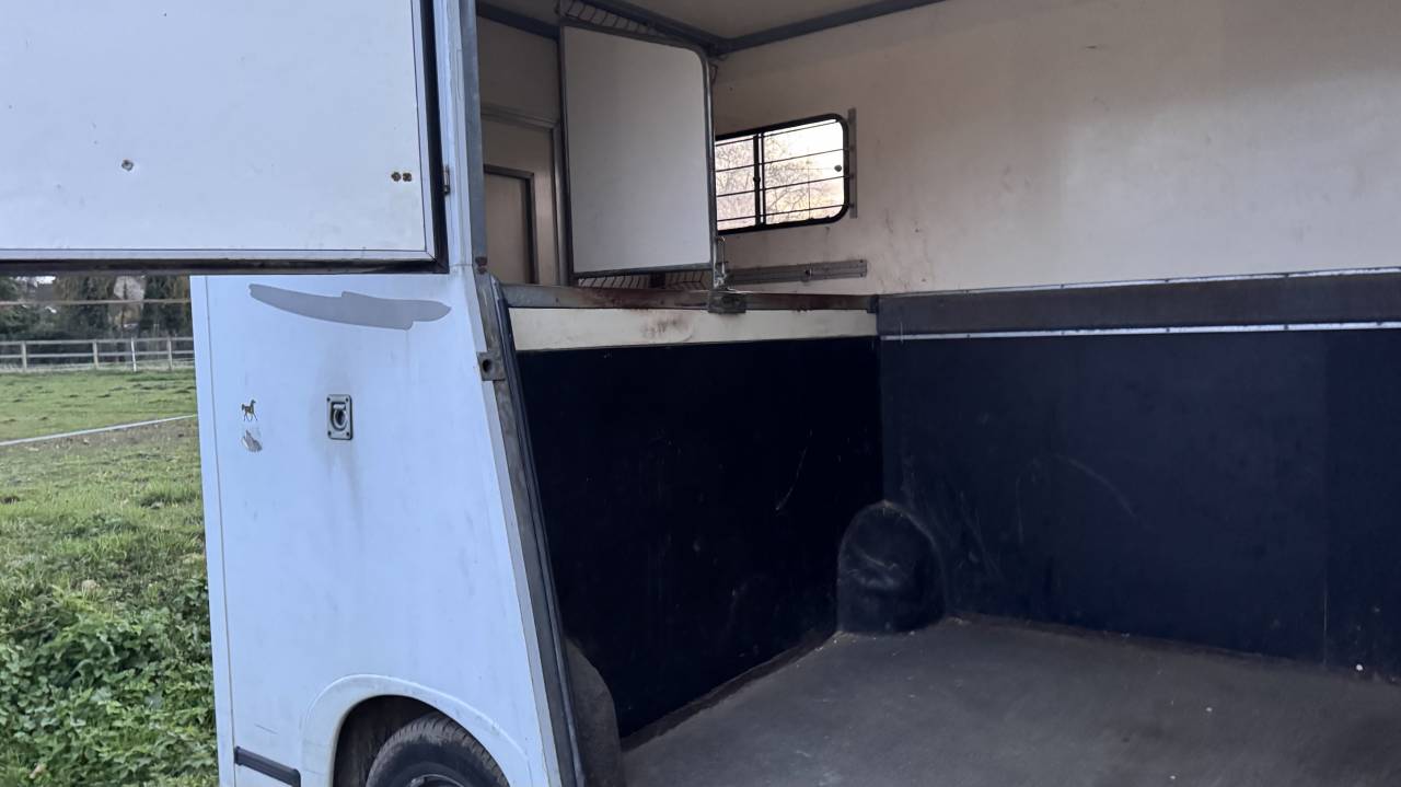 Van per Cavalli Renault Master 2005 Occasione