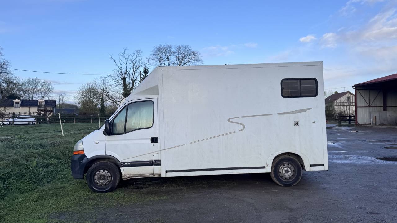 Van per Cavalli Renault Master 2005 Occasione