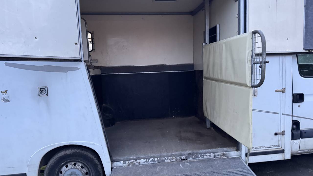 Van per Cavalli Renault Master 2005 Occasione