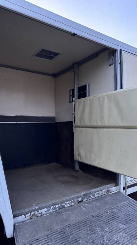 Van per Cavalli Renault Master 2005 Occasione