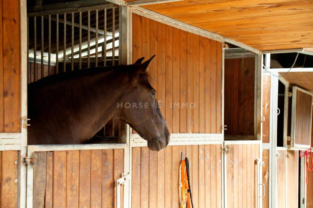 Propriet&agrave; equestre In vendita Bouches-du-Rh&ocirc;ne