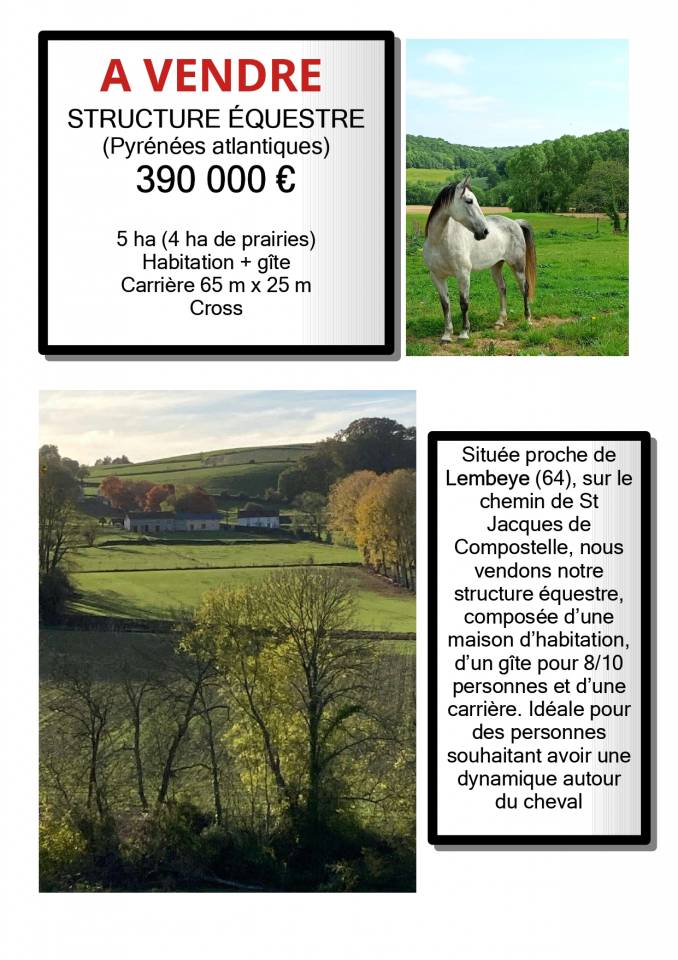 Propriet&agrave; equestre In vendita Pyr&eacute;n&eacute;es-Atlantiques