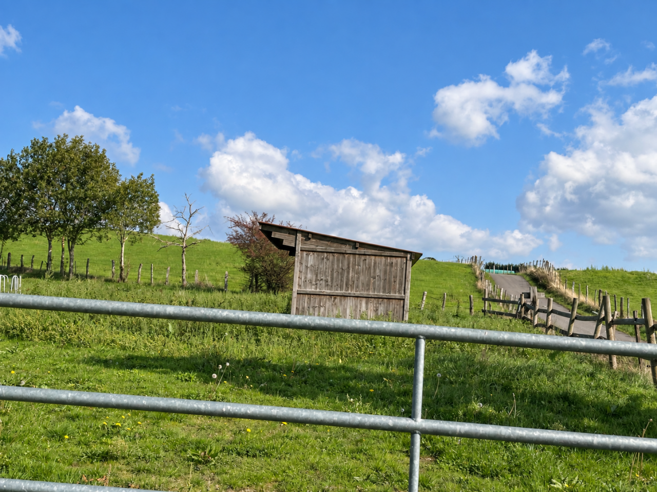 Propriet&agrave; equestre In vendita Loire