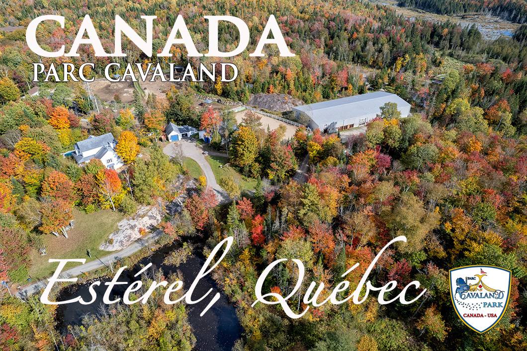 Propriet&agrave; equestre In vendita Qu&eacute;bec
