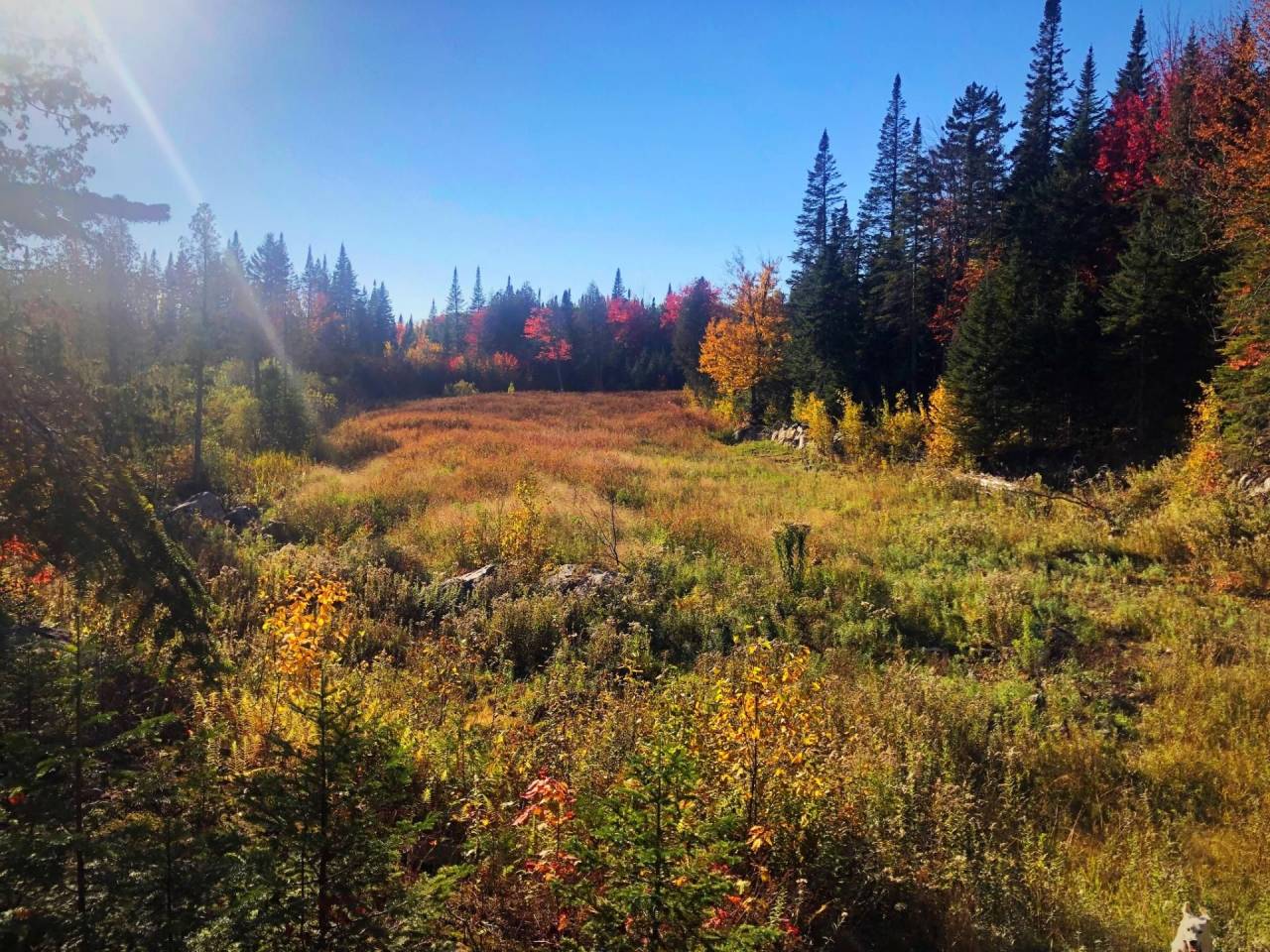 Propriet&agrave; equestre In vendita Qu&eacute;bec