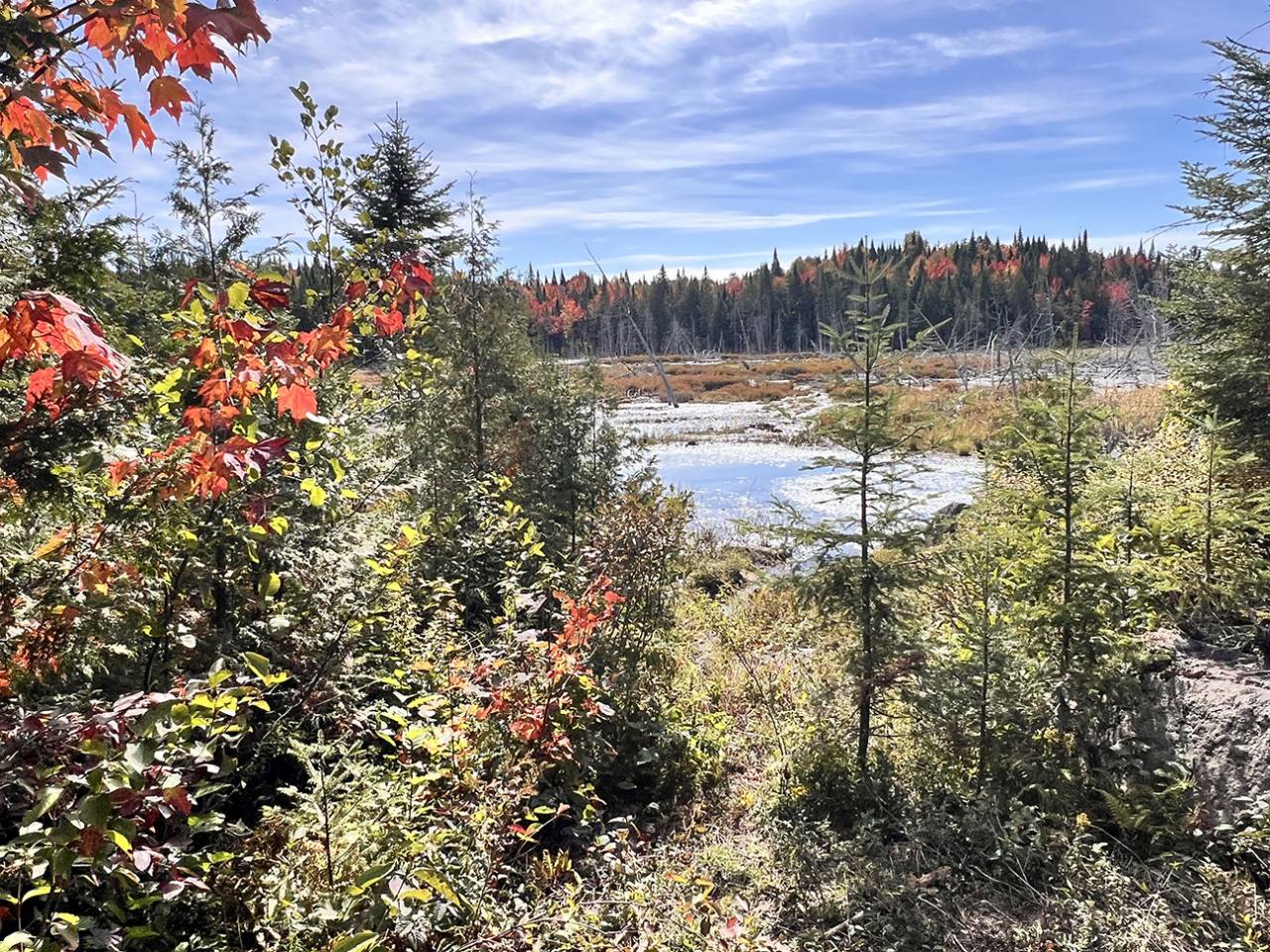 Propriet&agrave; equestre In vendita Qu&eacute;bec