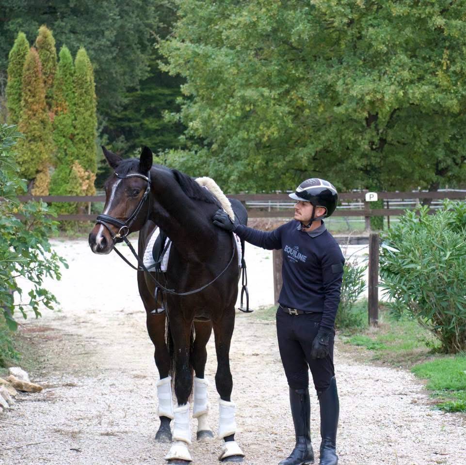Castrone KWPN Cavallo da Sport Neerlandese In vendita 2023 Baio scuro ,  FOR FERRERO